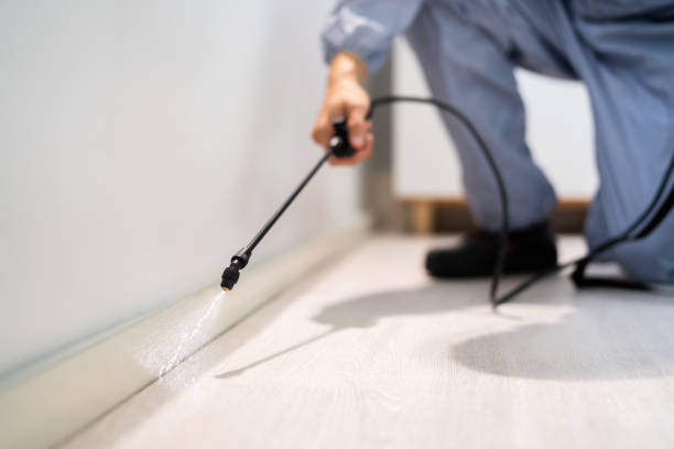 Bed Bug Pre-Treatment Preparation Assessment in Upland