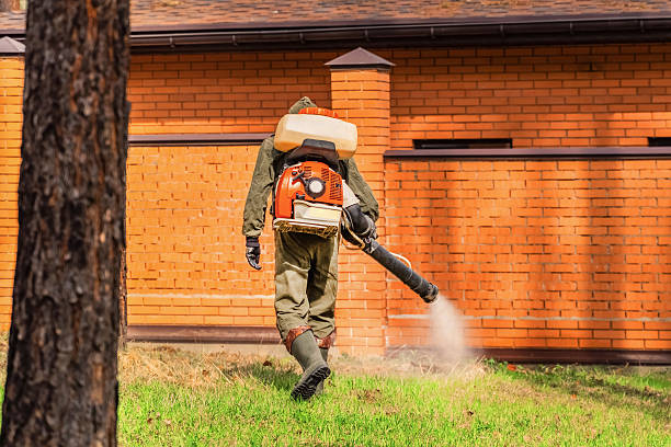Bed Bug Clearance Verification and Documentation in Upland